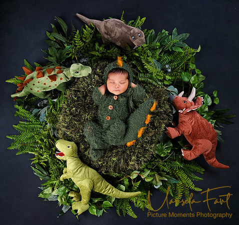 Picture Moments Photography | Marisela Fant | Newborn Gallery