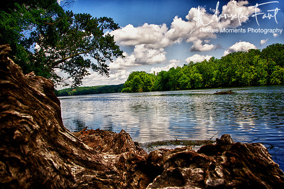 Picture Moments Photography | Marisela Fant | Wall Art and Prints