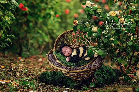 Picture Moments Photography | Marisela Fant | Digital Compositions