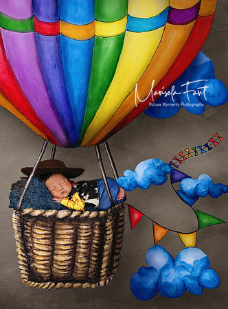 Picture Moments Photography | Marisela Fant | Digital Compositions