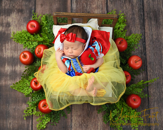 Picture Moments Photography | Marisela Fant | Newborn Gallery