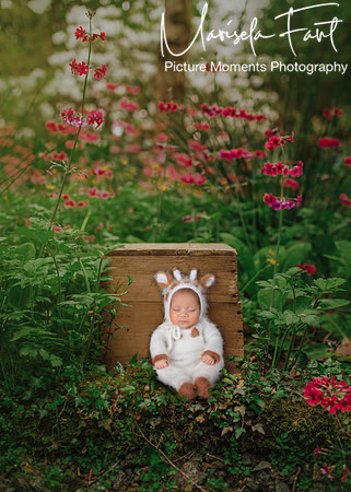 Picture Moments Photography | Marisela Fant | Digital Compositions