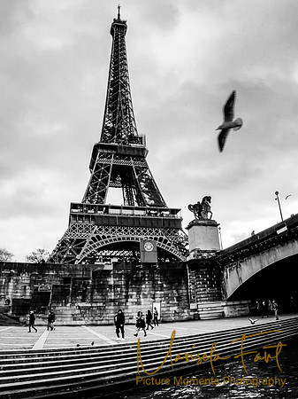 Paris Picture Moments Photography | Marisela Fant | Wall Art and Prints