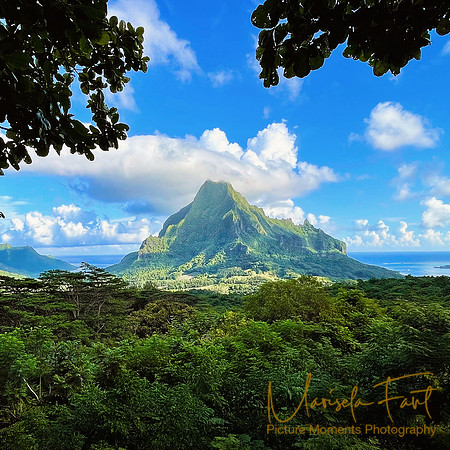 Tahiti Picture Moments Photography | Marisela Fant | Wall Art and Prints