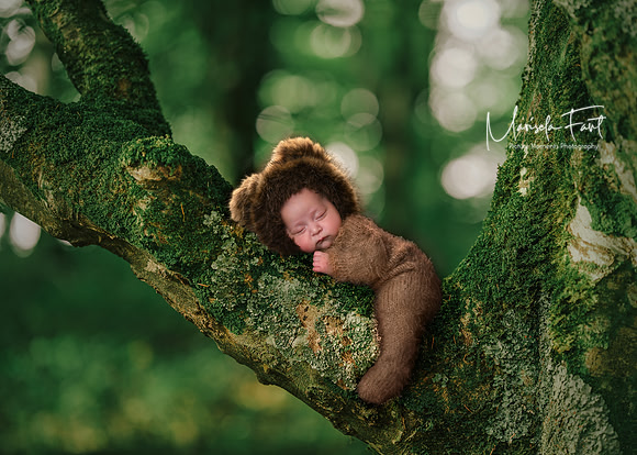 Picture Moments Photography | Marisela Fant | Digital Compositions
