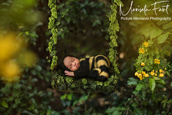 Swing-Outdoor Bee Picture Moments Photography | Marisela Fant | Digital Compositions