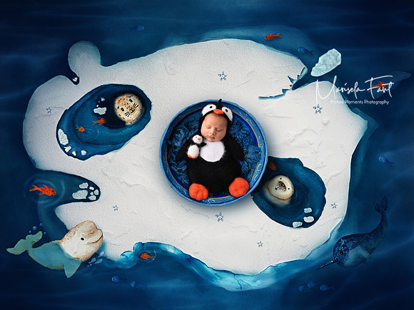 Artic Penguin Newborn.Picture Moments Photography | Marisela Fant | Digital Compositions