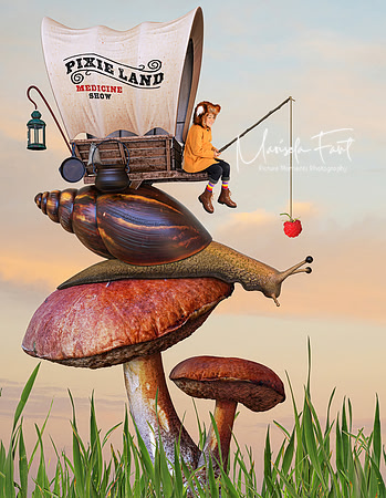 PixieLandMedicineShow | Marisela Fant | Digital Compositions