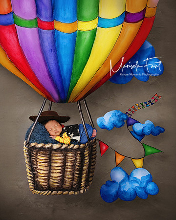 hotairballoon (1)