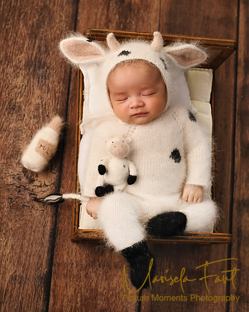 Picture Moments Photography | Marisela Fant | Newborn Gallery