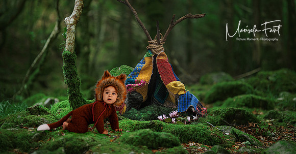 Picture Moments Photography | Marisela Fant | Digital Compositions .tent Fox