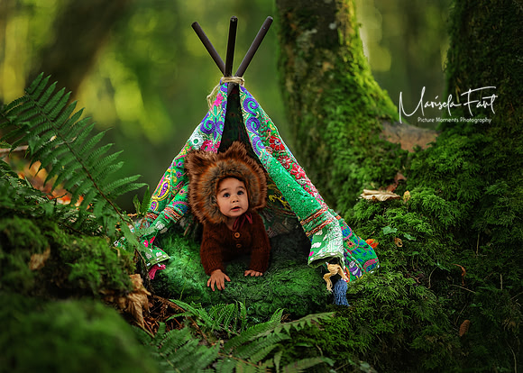 Picture Moments Photography | Marisela Fant | Digital Compositions fox forest.tent12