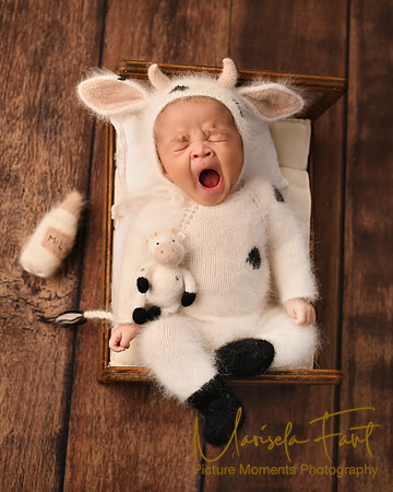 Picture Moments Photography | Marisela Fant | Newborn Gallery