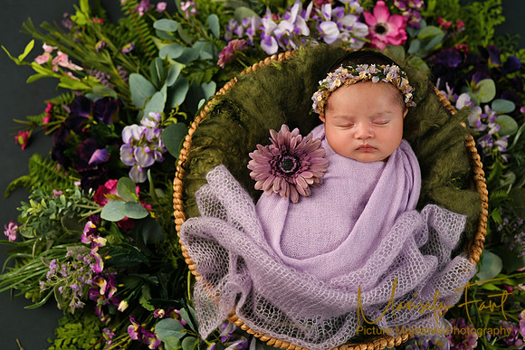 Picture Moments Photography | Marisela Fant | Newborn Gallery