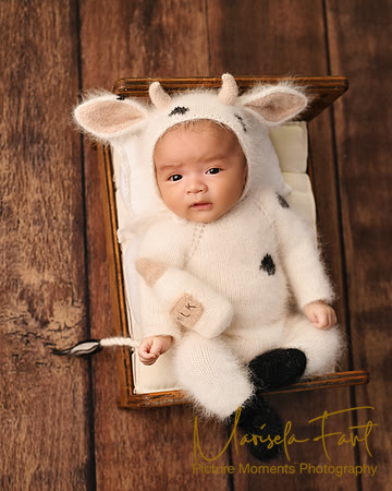 Picture Moments Photography | Marisela Fant | Newborn Gallery