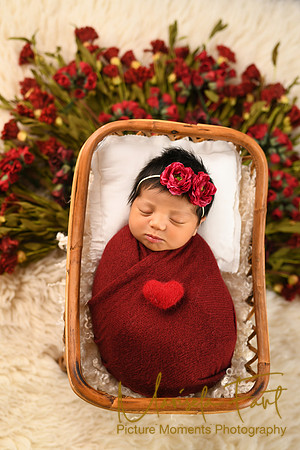 Picture Moments Photography | Marisela Fant | Newborn Gallery