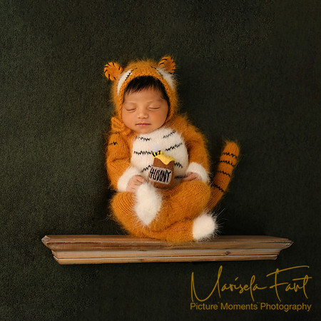 Picture Moments Photography | Marisela Fant | Newborn Gallery