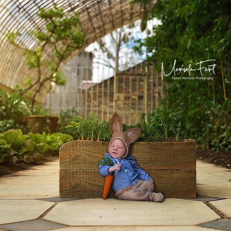 Picture Moments Photography | Marisela Fant | Digital Compositions Peter Rabbit Newborn