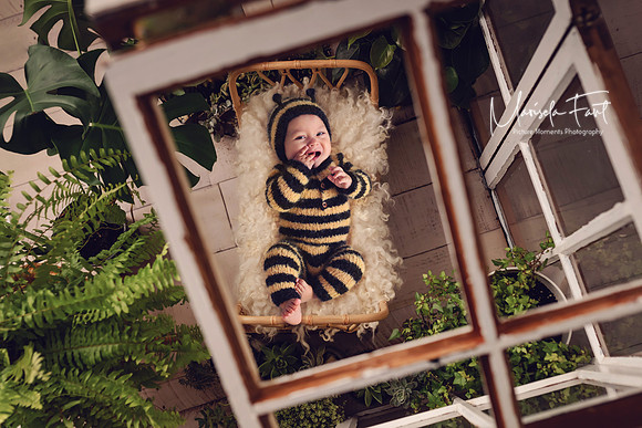 Picture Moments Photography | Marisela Fant | Digital Compositions Bee in Green house
