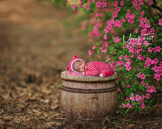 pinkflowers.bucket.Picture Moments Photography | Marisela Fant | Digital Compositions