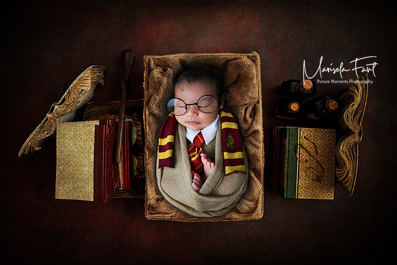 Picture Moments Photography | Marisela Fant | Digital Compositions