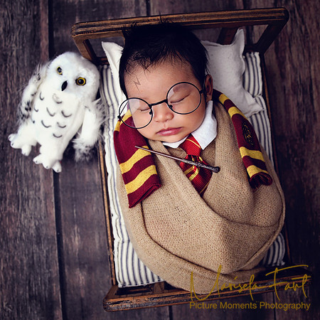 Picture Moments Photography | Marisela Fant | Newborn Gallery
