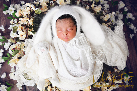 Picture Moments Photography | Marisela Fant | Newborn Gallery