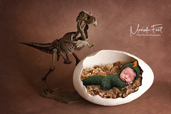 Picture Moments Photography | Marisela Fant | Digital Compositions