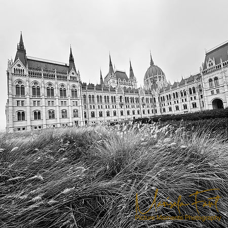Parlament Black and white Picture Moments Photography | Marisela Fant | Wall Art and Prints