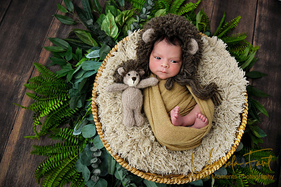Picture Moments Photography | Marisela Fant | Newborn Gallery