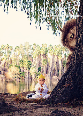 Picture Moments Photography | Marisela Fant | Digital Compositions