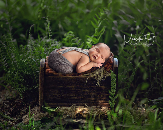 Picture Moments Photography | Marisela Fant | Digital Compositions