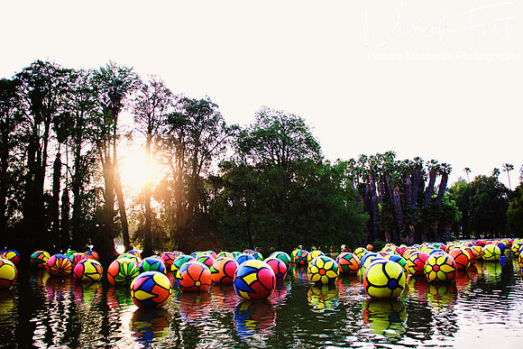 Picture Moments Photography | Marisela Fant | Wall Art and Prints