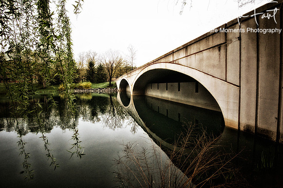 Picture Moments Photography | Marisela Fant | Wall Art and Prints