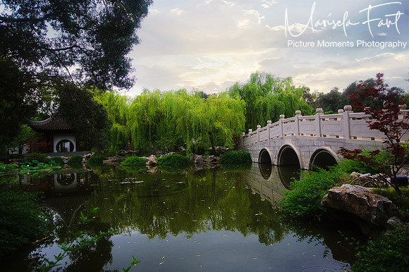 Picture Moments Photography | Marisela Fant | Wall Art and Prints