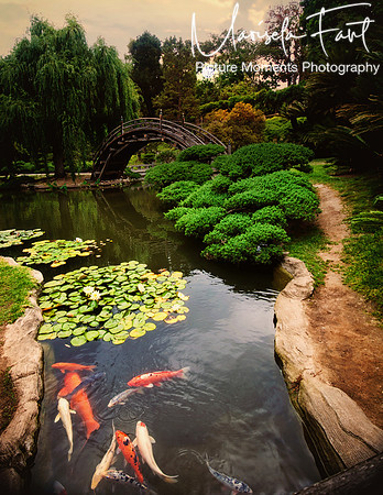 Picture Moments Photography | Marisela Fant | Wall Art and Prints