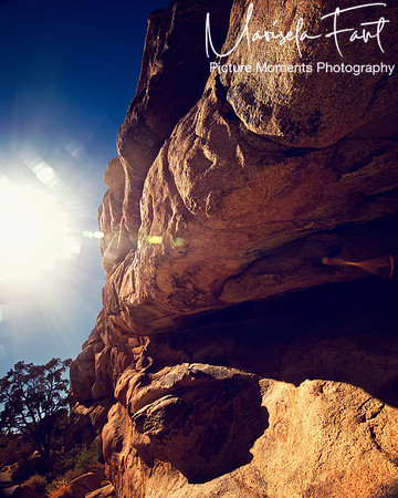 Picture Moments Photography | Marisela Fant | Wall Art and Prints