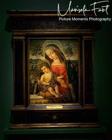 Picture Moments Photography | Marisela Fant | Wall Art and Prints