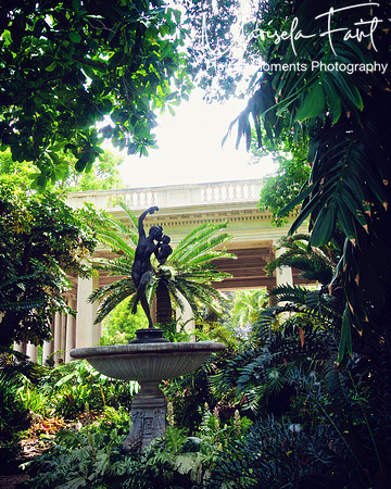 Picture Moments Photography | Marisela Fant | Wall Art and Prints