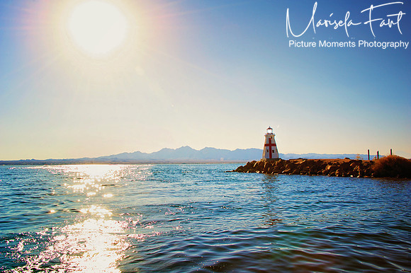 Picture Moments Photography | Marisela Fant | Wall Art and Prints