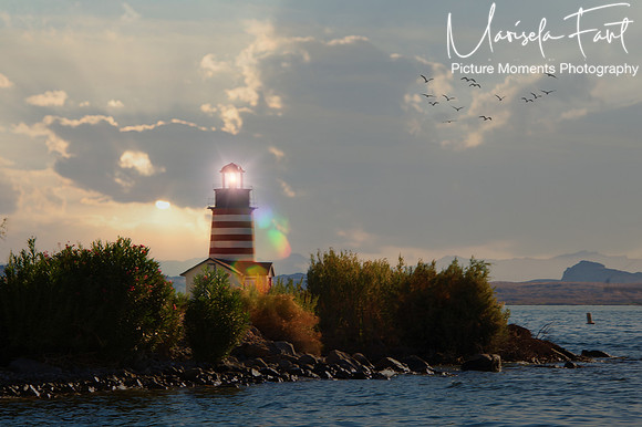 Picture Moments Photography | Marisela Fant | Wall Art and Prints