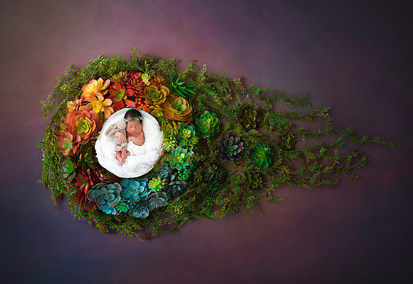 Picture Moments Photography | Marisela Fant | Digital Compositions