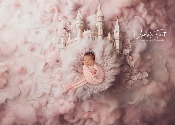 Picture Moments Photography | Marisela Fant | Digital Compositions
