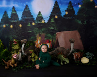 Picture Moments Photography | Marisela Fant | Children's Gallery Dinosaur Theme