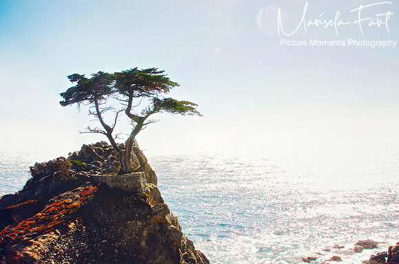 Picture Moments Photography | Marisela Fant | Wall Art and Prints