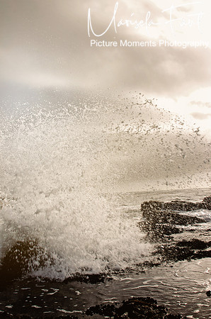 Picture Moments Photography | Marisela Fant | Wall Art and Prints