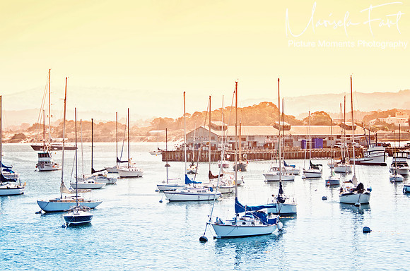 Picture Moments Photography | Marisela Fant | Wall Art and Prints