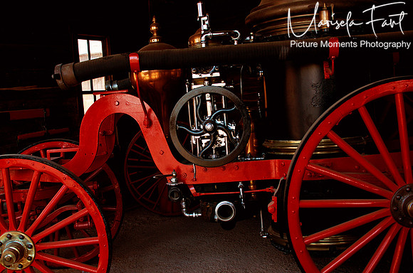 Picture Moments Photography | Marisela Fant | Wall Art and Prints