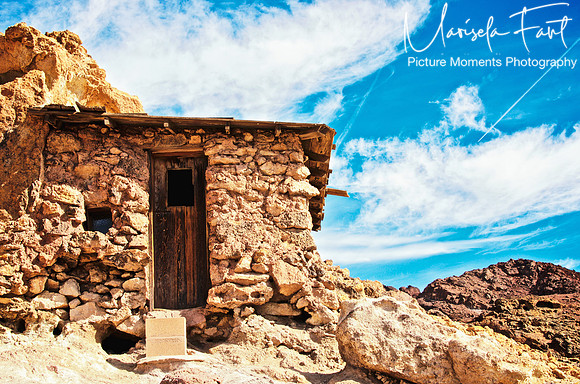Picture Moments Photography | Marisela Fant | Wall Art and Prints
