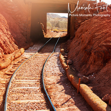 Picture Moments Photography | Marisela Fant | Wall Art and Prints